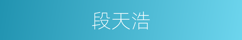 段天浩的同义词