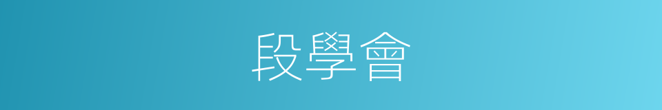 段學會的同義詞