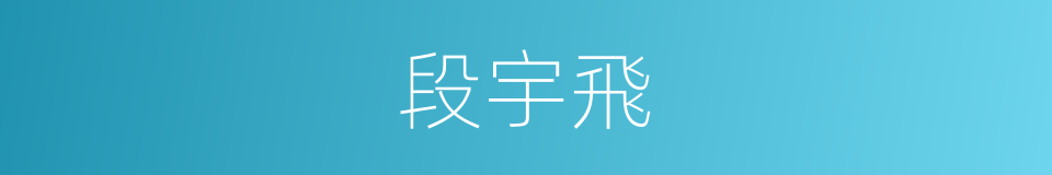 段宇飛的同義詞