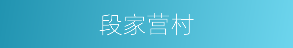 段家营村的同义词