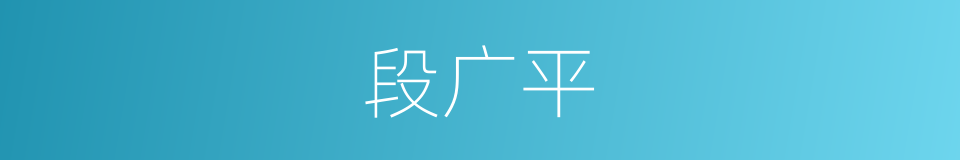 段广平的同义词