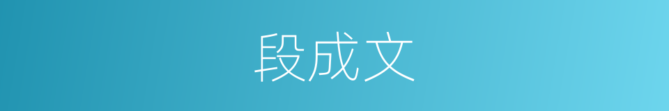 段成文的同义词