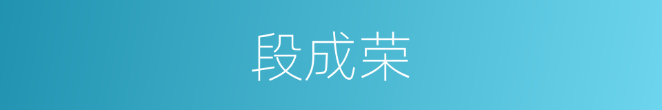 段成荣的同义词
