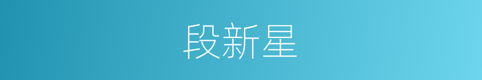 段新星的同义词