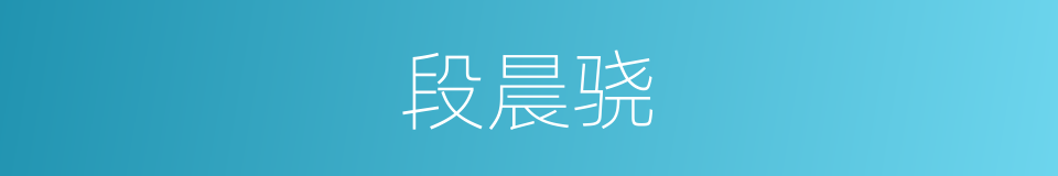 段晨骁的同义词