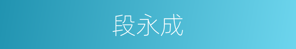 段永成的同义词