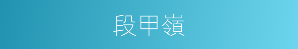 段甲嶺的同義詞