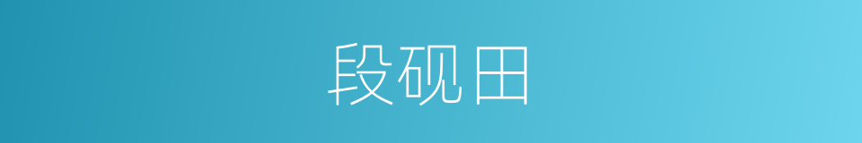 段砚田的同义词