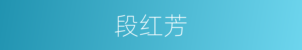 段红芳的同义词