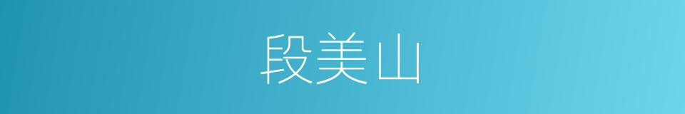 段美山的同义词