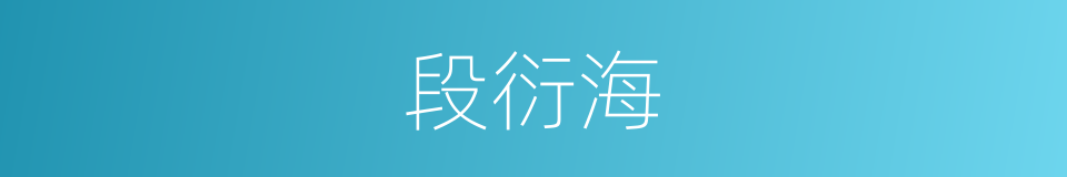 段衍海的同义词