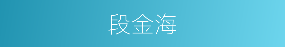 段金海的同义词