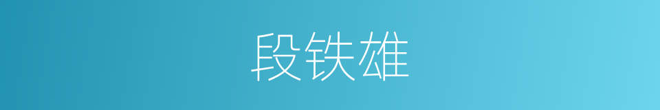 段铁雄的同义词