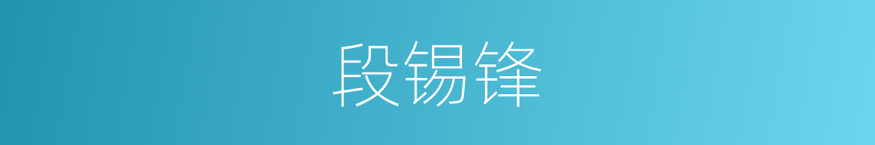 段锡锋的意思