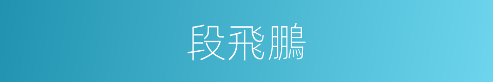 段飛鵬的同義詞