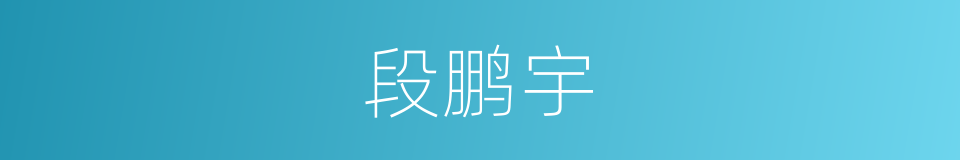 段鹏宇的同义词