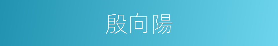 殷向陽的同義詞