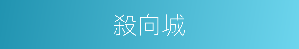 殺向城的同義詞