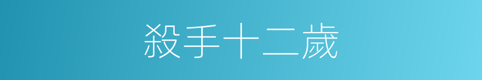 殺手十二歲的同義詞