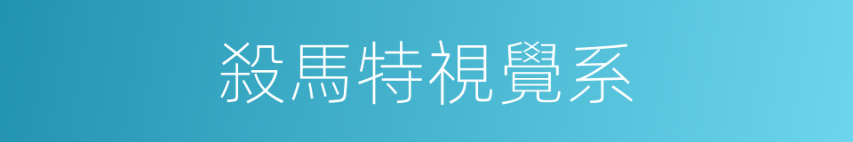 殺馬特視覺系的同義詞