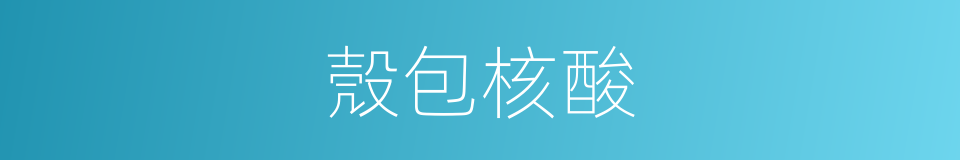 殼包核酸的同義詞