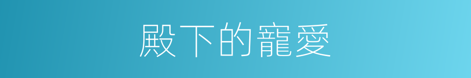 殿下的寵愛的同義詞