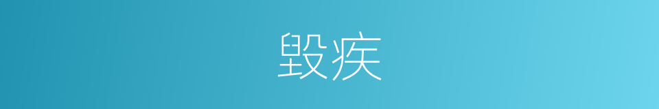 毀疾的意思