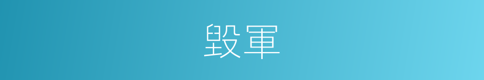 毀軍的意思