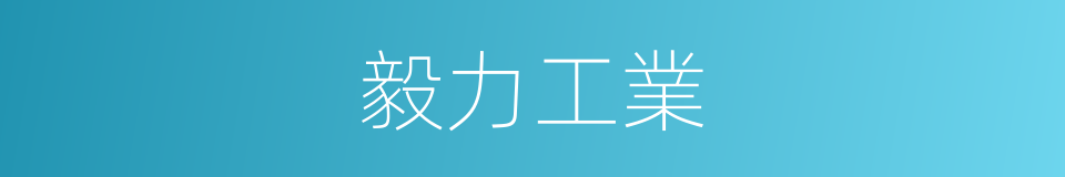 毅力工業的同義詞