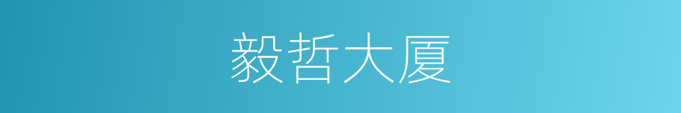 毅哲大厦的同义词