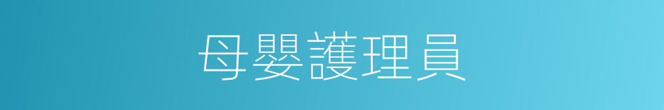 母嬰護理員的同義詞