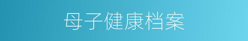 母子健康档案的同义词