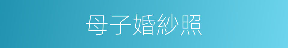 母子婚紗照的同義詞