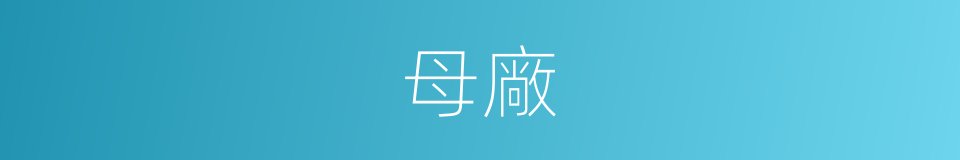 母廠的同義詞