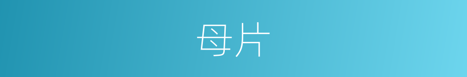 母片的同义词