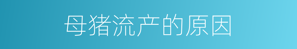 母猪流产的原因的同义词