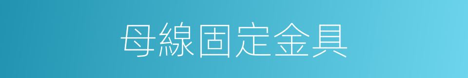 母線固定金具的同義詞
