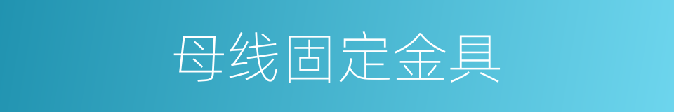 母线固定金具的同义词