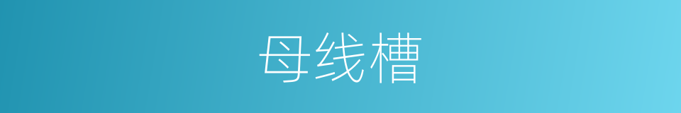 母线槽的同义词