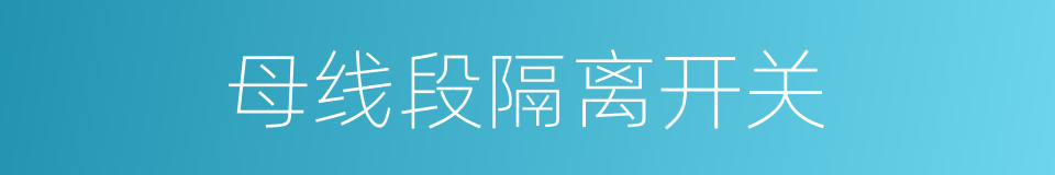 母线段隔离开关的同义词