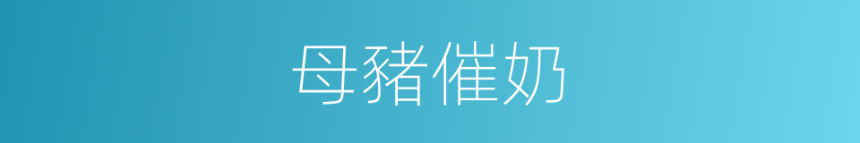 母豬催奶的同義詞