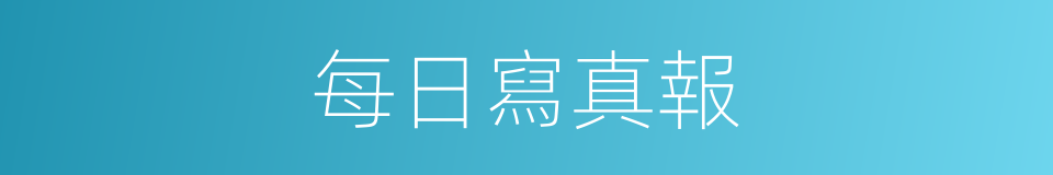 每日寫真報的同義詞