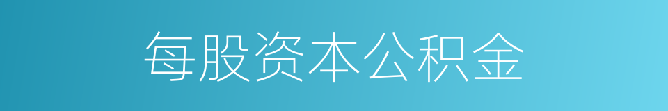 每股资本公积金的同义词