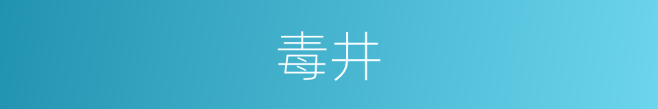 毒井的同义词