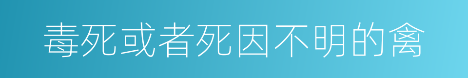 毒死或者死因不明的禽的同义词