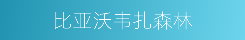 比亚沃韦扎森林的同义词