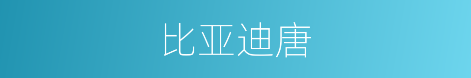 比亚迪唐的同义词