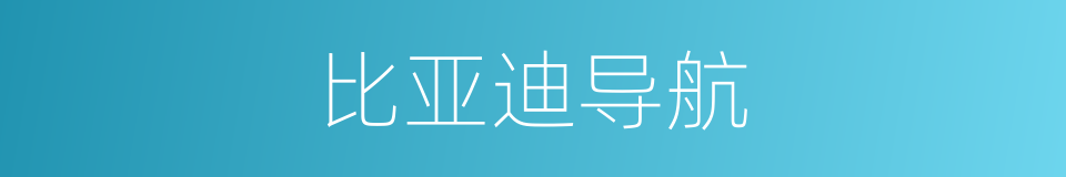 比亚迪导航的同义词