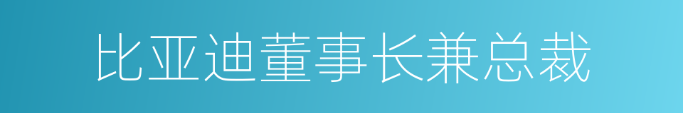 比亚迪董事长兼总裁的同义词