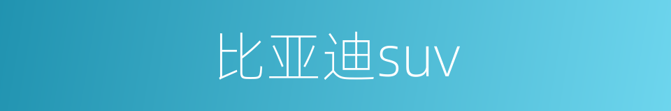 比亚迪suv的同义词